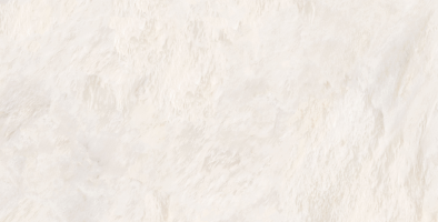 Bone/face1