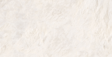 Bone/face2
